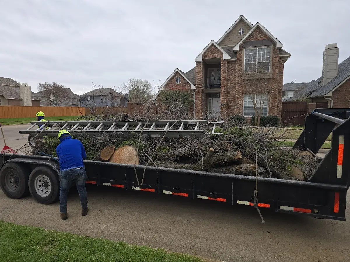 Expert Tree Fertilization with proper safety equipment in Sullivan